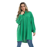 Collar Plain Long Sleeves Tunic (2996) - Mr Joe