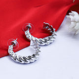 Twisted Lines Metal Earing (10620)  - Fluffy